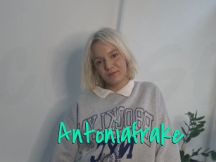Antoniafrake