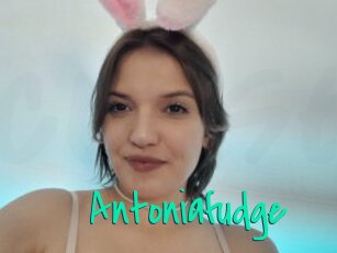 Antoniafudge