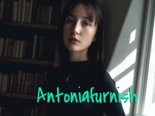 Antoniafurnish
