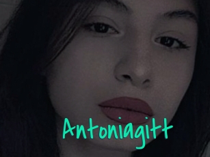 Antoniagitt