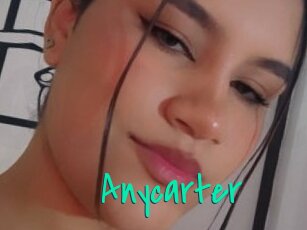 Anycarter