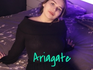 Ariagate