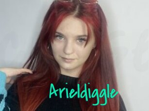 Arieldiggle