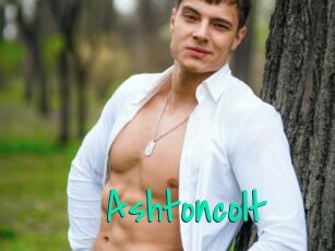 Ashtoncolt