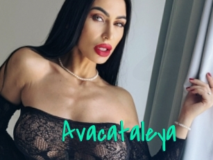 Avacataleya