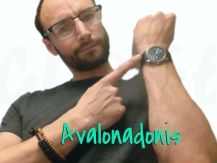 Avalonadonis