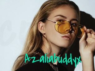 Azaliabuddyx
