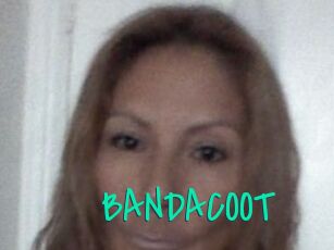 BANDACOOT