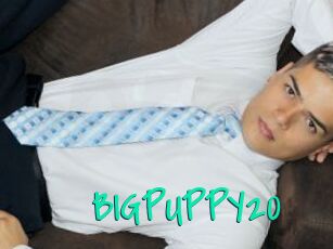 BIGPUPPY20
