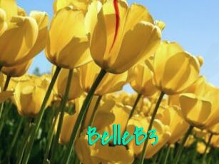 BelleB3