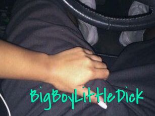BigBoyLittleDick