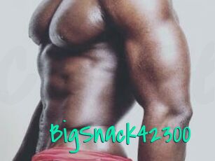 BigSnack42300