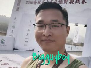 Bigguyboy