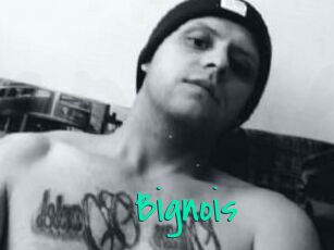 Bignois