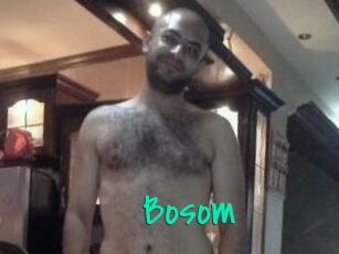 Bosom