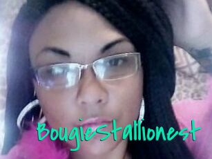 BougieStallionest