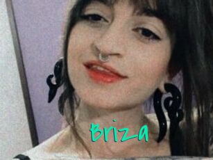 Briza
