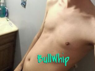 BullWhip