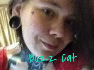 Buzz_Cat