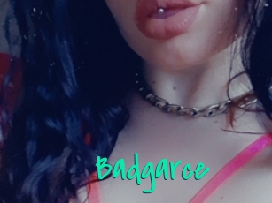 Badgarce