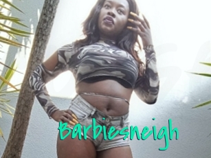Barbiesneigh