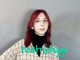 Beatrixbigge