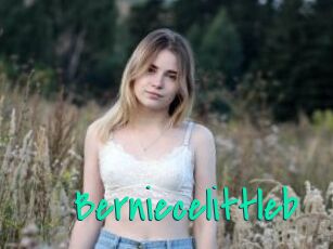 Berniecelittleb