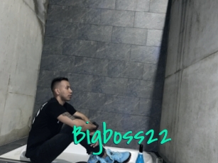 Bigboss22