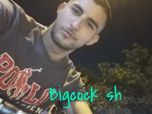 Bigcock_sh