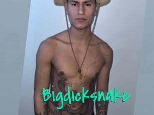 bigdicksnake Cool Sexe