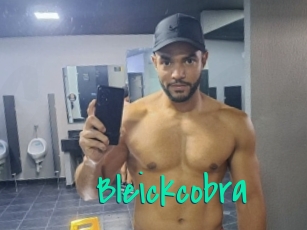 Bleickcobra