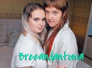 Breeandantonia