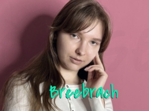 Breebrach