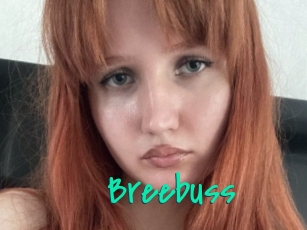 Breebuss