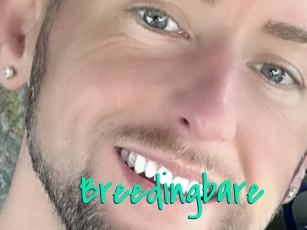 Breedingbare
