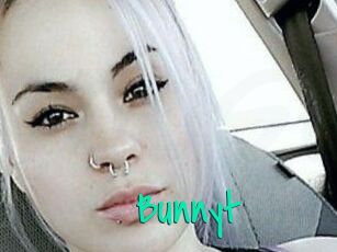 Bunny_t_