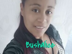 Bushalice