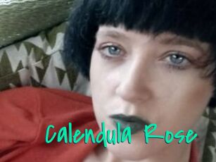 Calendula_Rose
