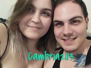 Cambria2113