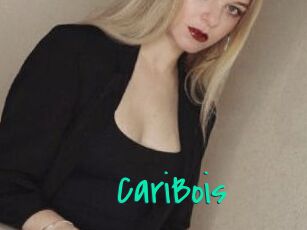 CariBois