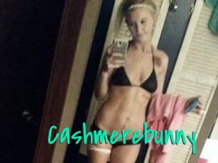Cashmerebunny