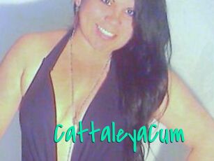 CattaleyaCum