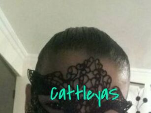 Cattleya_S