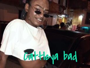 Cattleya_bad
