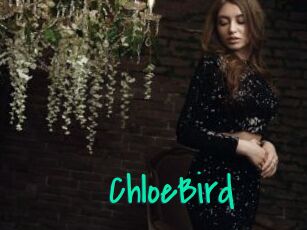 ChloeBird