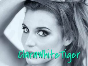 ClaraWhiteTiger