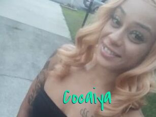 Cocaiya