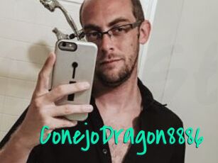 ConejoDragon8886