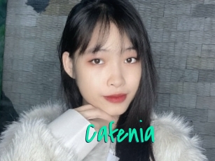 cafenia Cool Sexe