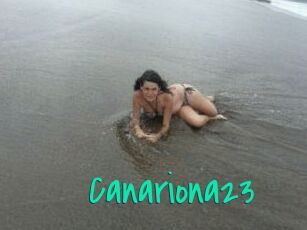 Canariona23